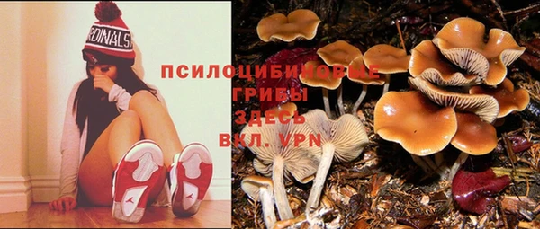 мдма Вяземский