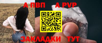 спиды Гусев