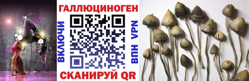 Псилоцибиновые грибы Magic Shrooms  хочу наркоту  Гуково 