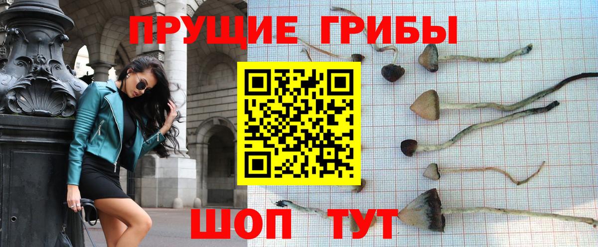 Псилоцибиновые грибы мухоморы Гуково