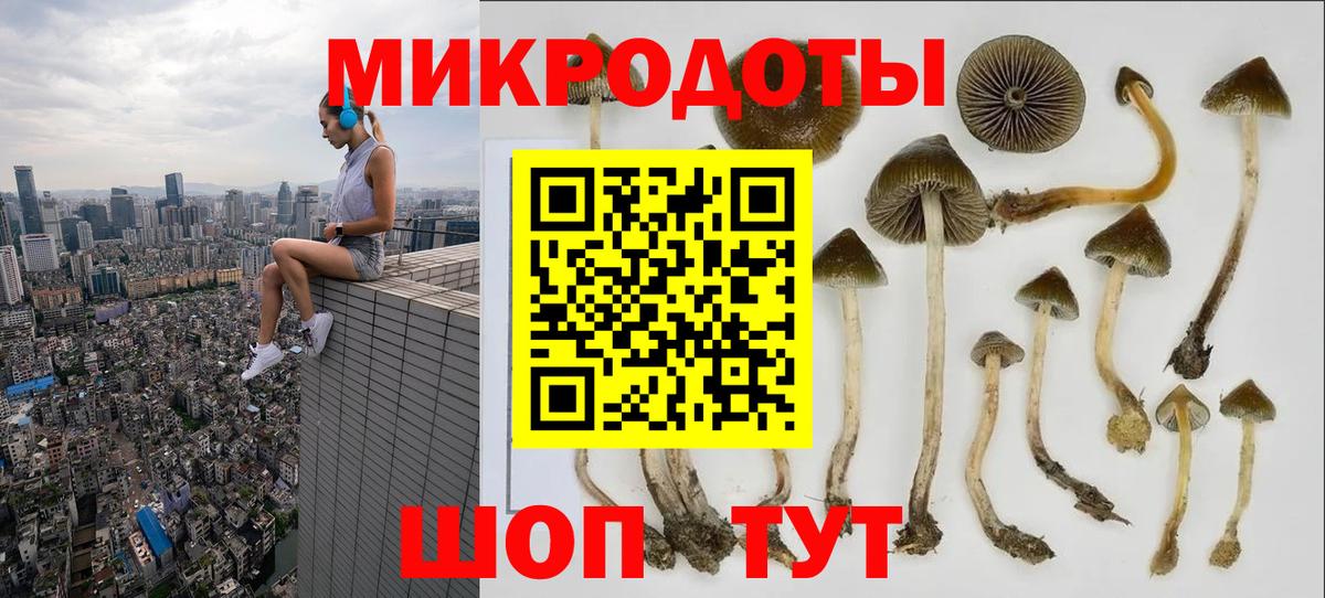 Псилоцибиновые грибы GOLDEN TEACHER  Вход с VPN  Гуково 