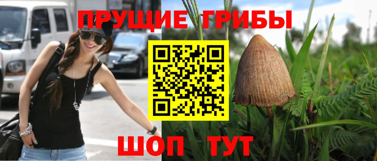 Галлюциногенные грибы ЛСД  дарнет шоп  Гуково  Псилоцибиновые грибы GOLDEN TEACHER 